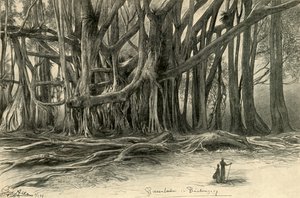 Buitenzorg
