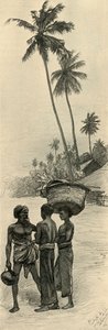 Bir grup erkek, Kolombo, Seylan, 1898. by Christian Wilhelm Allers