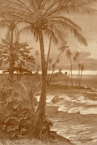 Waikiki