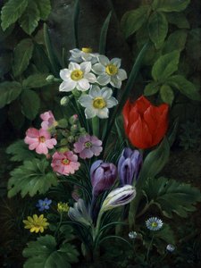İlkbaharda bahçe çiçekleri (papatyalar, laleler, nergisler, çiğdemler ve çuha çiçeği dahil). Christine Marie Lovmand (1803-1872) tarafından yapılmış resim Özel koleksiyon. by Christine Lovmand