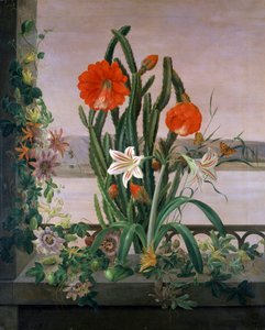 Pencere kenarında kaktüs, zambak ve çarkıfeleklerden oluşan natürmort. Christine Marie Lovmand (1803-1872) tarafından yapılmıştır. Özel koleksiyon. by Christine Lovmand