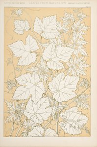 Doğadan Yapraklar, 1868 (chromolitho) by Christopher Dresser