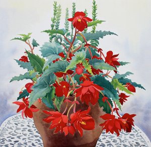 Begonya (kağıt üzerine sulu boya) by Christopher Ryland