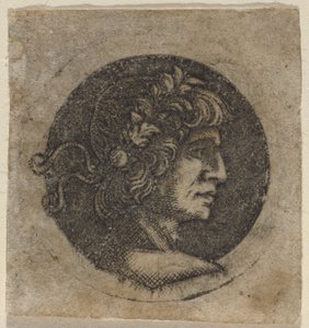 Bir Roma İmparatoru Başkanı by Circle of Francesco Francia
