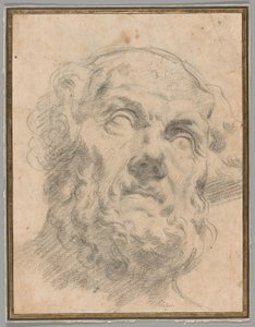 Yaşlı Bir Adamın Başı, muhtemelen Seneca by Circle of Peter Paul Rubens