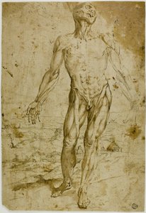  by Circle of Titian