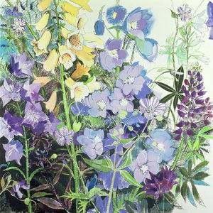Delphiniums ve Foxgloves