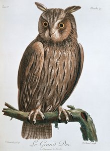 Le Grand Duc", Kartal-Baykuş, 1799-1808 by Claude Fessard