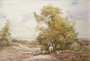 dorset pastoral