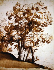 Güneş ışığında bir grup ağaç (kalem ve mürekkep ve kağıt üzerinde yıkama) by Claude Lorrain