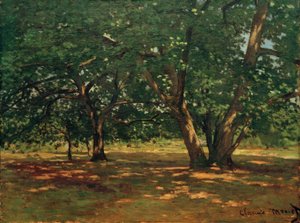 Fontainebleau Ormanı