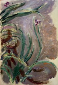 İris (İrisler) by Claude Monet