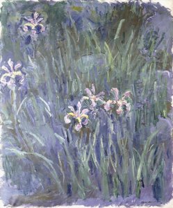 İris, c.1914-1917 by Claude Monet