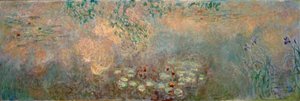 iris ile nilüfer gölet by Claude Monet