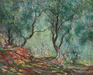 Moreno Bahçesinde Zeytin Ağaçları; Moreno bahçesindeki zeytin ağacı, 1884