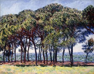 Pines, Cap d"Antibes, 1888 by Claude Monet