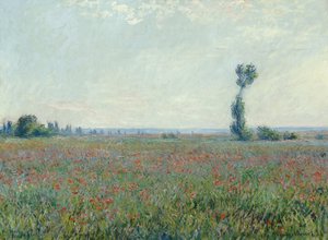 Haşhaş tarlası, 1881 by Claude Monet
