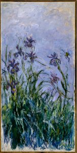 Mor Süsenler, 1914-17 by Claude Monet
