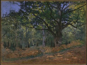 Bodmer Meşe, Fontainebleau Ormanı, 1865 by Claude Monet