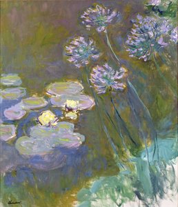 Nilüferler ve Agapanthus by Claude Monet