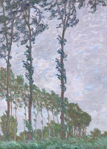 Rüzgar Etkisi, Kavak Dizisi, 1891 by Claude Monet