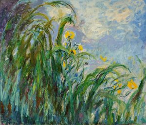 Sarı süsen, c. 1925. by Claude Monet