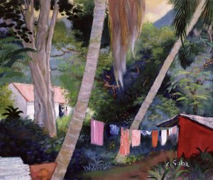 Kurutma Yıkama, Guadeloupe