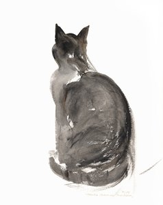 Kedi, 1985 (sulu boya) by Claudia Hutchins Puechavy