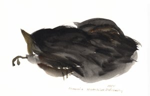 Uyuyan Kedi, 1985 (sulu boya) by Claudia Hutchins Puechavy