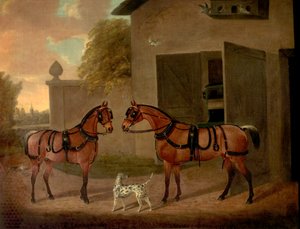 Arabalar, Atlar ve Köpekler by Clifton Tomson