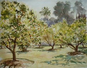 Mamounia, Portakal bahçeleri, 2000 (suluboya)
