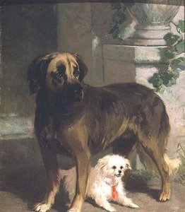 Mastiff ve Bichon by Conradyn Cunaeus