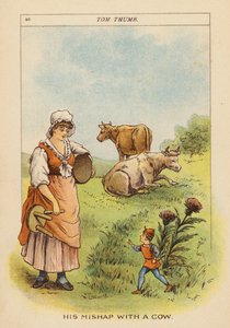  by Constance Haslewood