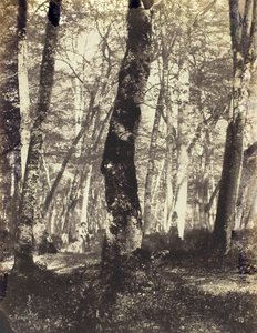 Barbizon Ormanında Çalışma, 186069.