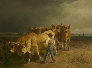 Öküz Çiftçiliği, 1860