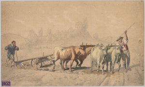 Saban Çeken Dört Öküz, 1853.