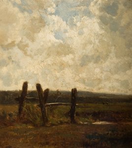 Meadowland
