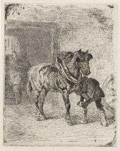 At bir demirhanede at nalı alır by Cornelis Albertus Johannes Schermer