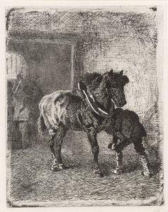 At bir demirhanede at nalı alır by Cornelis Albertus Johannes Schermer