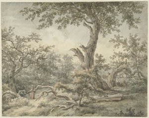 orman manzarası by Cornelis Buys