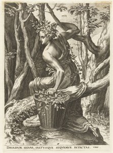 Dryas (nesne üzerindeki başlık) Tanrıçalar ve Periler (dizi adı) by Cornelis Cort