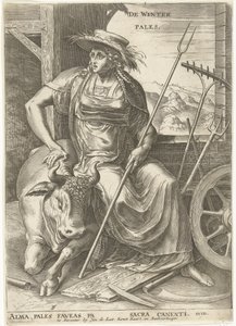 soluk by Cornelis Cort