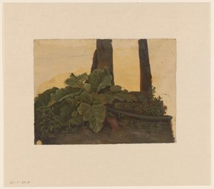 Bir ağaç gövdesinin dibinde bitkiler by Cornelis Johannes de Vogel
