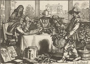 botanikçi by Cornelis Ploos van Amstel (signed by artist)