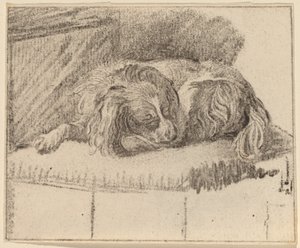 yalancı köpek by Cornelis Ploos van Amstel