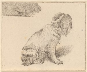 Oturan Köpek
