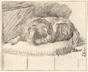 Uyuyan Köpek, 1777.