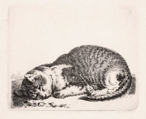 Uyuyan Kedi, c.1607-81