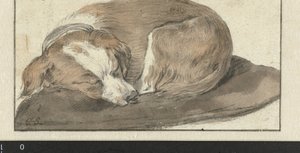 Uyuyan köpek