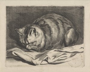 küçük kedi by Cornelis Visscher (II)